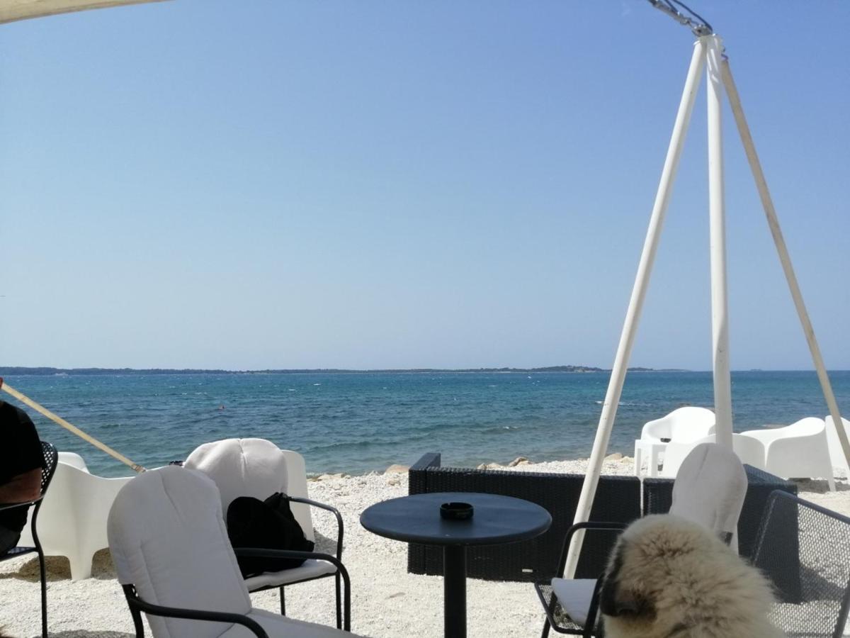 Apartman Deni بيروغ المظهر الخارجي الصورة